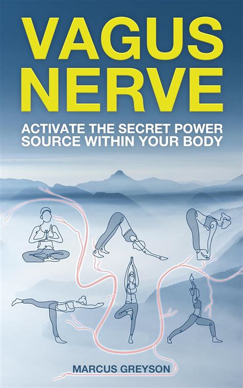 Vagus Nerve: Activate the Secret Power Source Within Your Body eBook ...