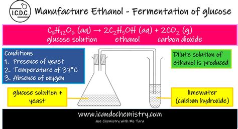 Equation For Yeast Fermentation