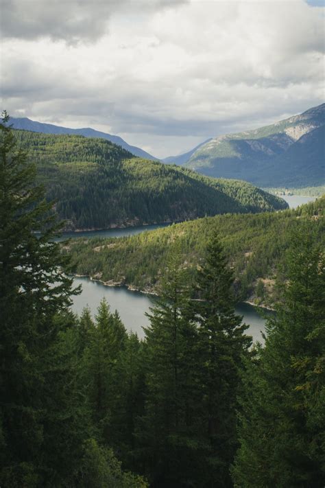 Ross Lake Overlook, Rockport, Washington. Photo by Ryan Stone. : r ...