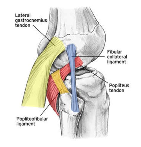Posterolateral Corner Injury
