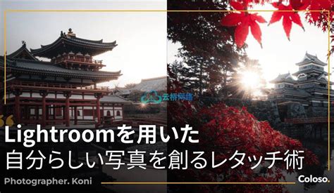 LR Tutorial Editing 的图像结果