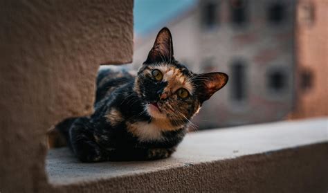 3 Mb Images Photos, Download The BEST Free 3 Mb Images Stock Photos & HD Images