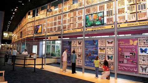 Gainesville Car Rental