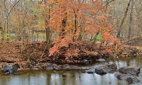 Roanoke Rapids Tourism (2023): Best of Roanoke Rapids, NC - Tripadvisor