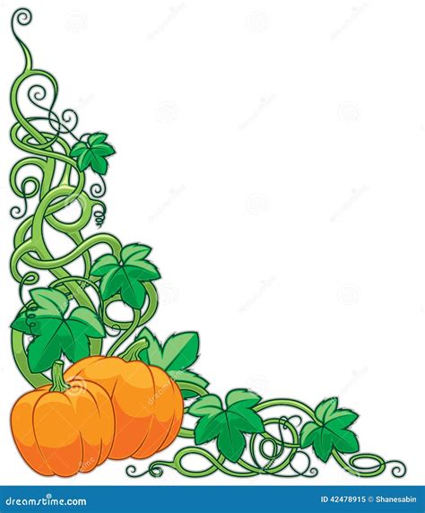 Pumpkin Vine Border stock vector. Illustration of food - 42478915