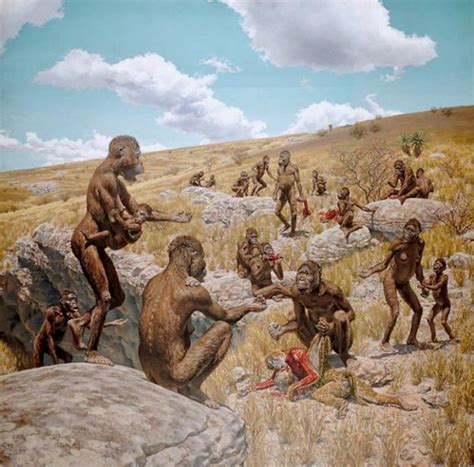 Late Pliocene to early Pleistocene about 3 - 2 mya: Family members of Australopithecus africanus ...