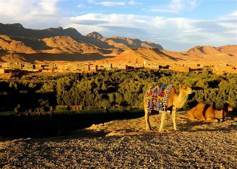 Tinerhir Tourism (2023): Best of Tinerhir, Morocco - Tripadvisor