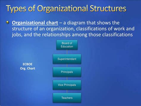 Organization 的图像结果