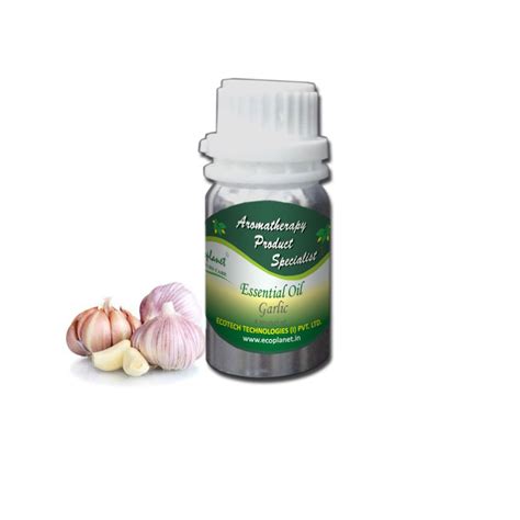 ecoplanet Garlic Essential, Garlic Oil, 1 pack (1 X 25 g) : Amazon.in ...