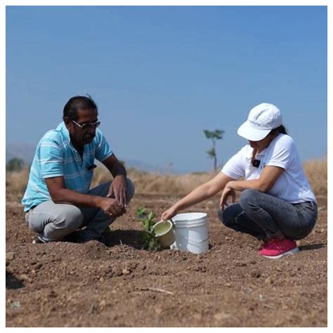 Reforesting with Purpose: IVCA’s Agroforestry Tree Plantation Program ...