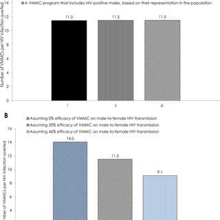 Understanding Mozambique's Voluntary Medical Male Circumcision (VMMC) Program