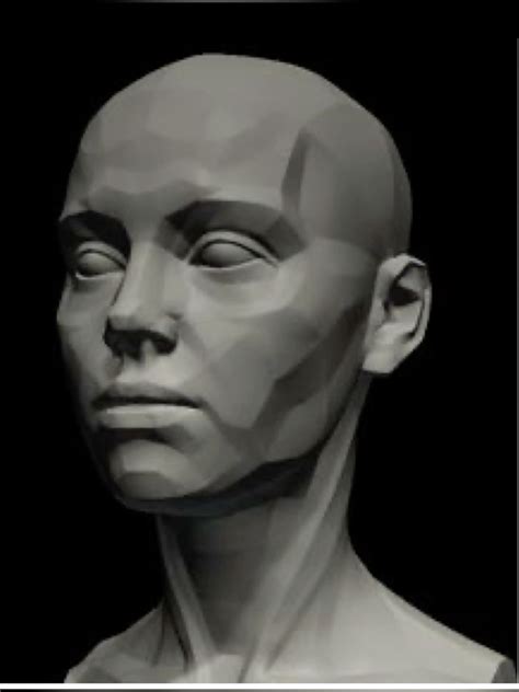 Planes of face | Face anatomy, Planes of the face, Anatomy sketches