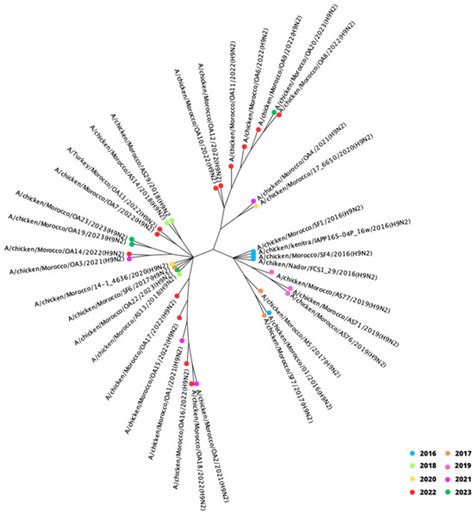 Viruses | Special Issue : Filling Knowledge Gaps: Understanding the ...