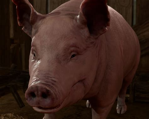 Pig - bg3.wiki