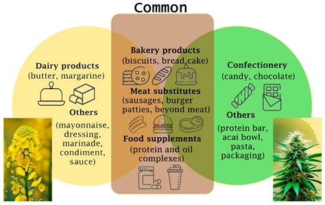 Exploring the Nutritional Potential and Functionality of Hemp and ...