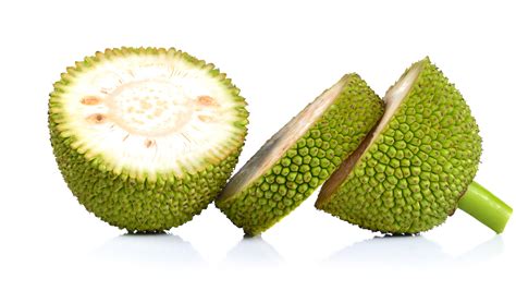 ¿Sabías qué…? – JackFruit Mexico