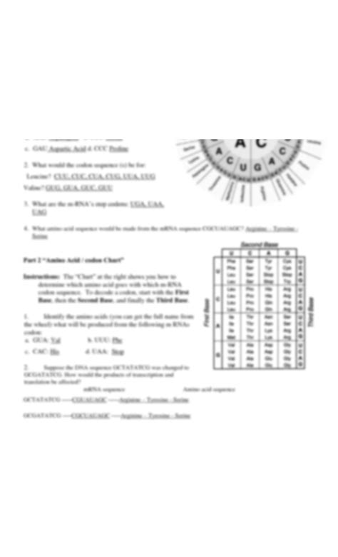 Image result for Codon Chart Practice