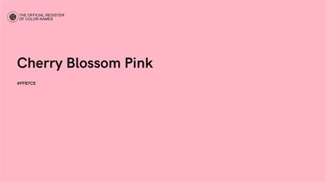 Cherry Blossom Pink color - #FFB7C5 - The Official Register of Color Names