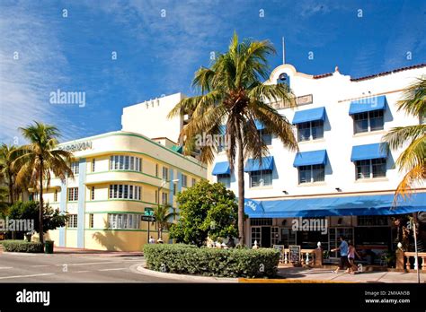 Miami 的图像结果