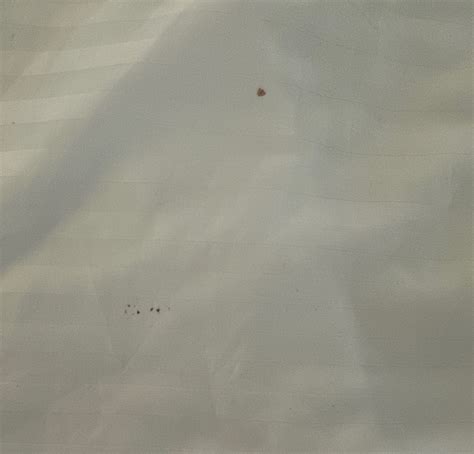 Image result for Hello Dysfunction