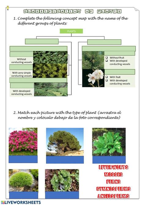 Image result for CLIL Lesson On Classifying Plants