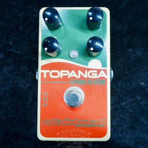 Image result for Catalinbread Spring Reverb