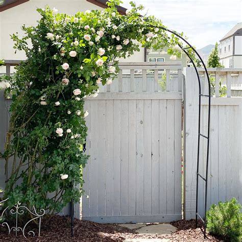 Buy Metal Garden Arches, Trellis Archs Garden Arbors, WeddingArch For ...