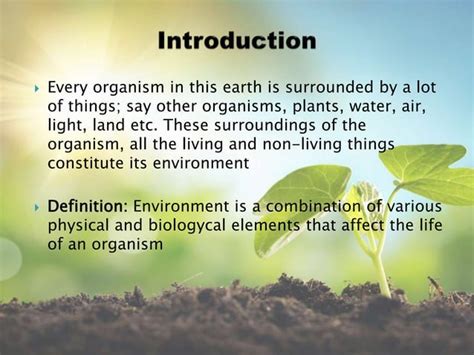 Basic Components of the Environment 的图像结果