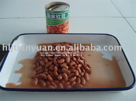 canned red kidney bean,China shuangyan price supplier - 21food