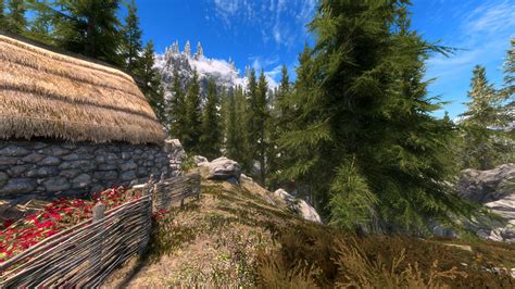 Best tree mod skyrim - roomur
