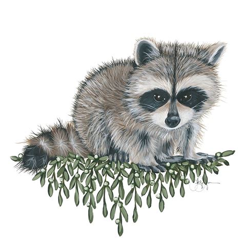 Baby Raccoon Clip Art