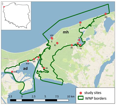 Depauperate Small Mammal Assemblage in Wolin National Park (Poland ...