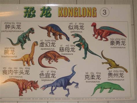 恐龙的种类有哪些