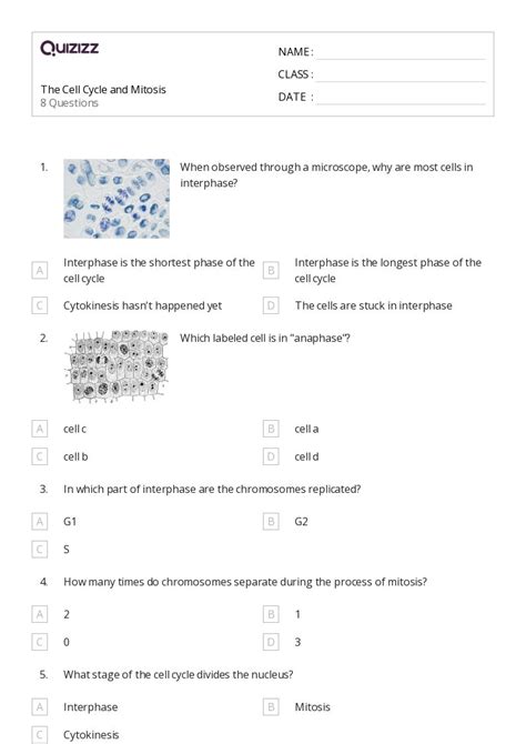 50+ the cell cycle and mitosis worksheets for 9th Class on Quizizz ...