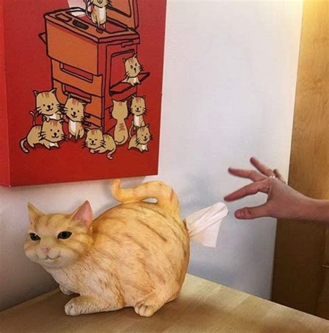 Useless Inventions 的图像结果