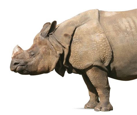 Participate in Asia's largest festival and contest for nature, wildlife ...