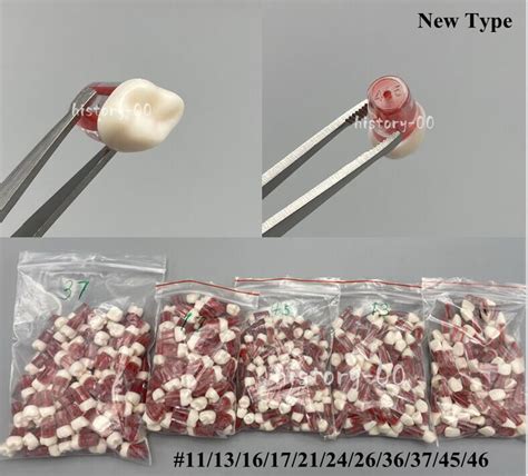 New Dental Root Canal RCT Practice Pulp Cavity Resin | Ubuy India