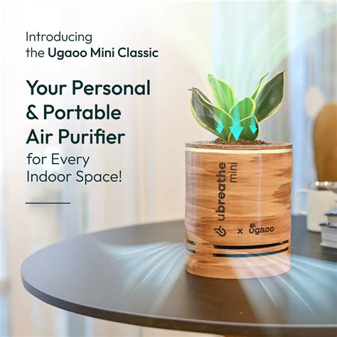 Buy home air purifier: Effective Solutions for Clean Air – Ugaoo