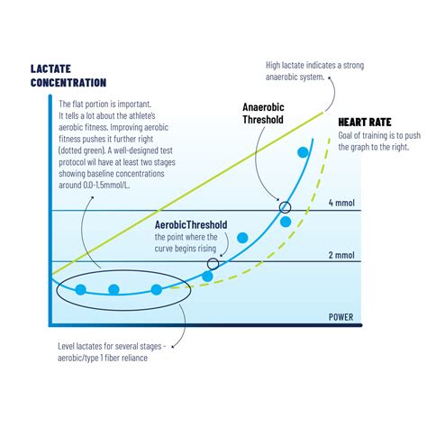 The Endurance Athlete’s Guide to VO2max and Lactate Tests