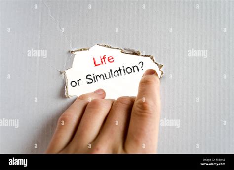 Life Is a Simulation 的图像结果