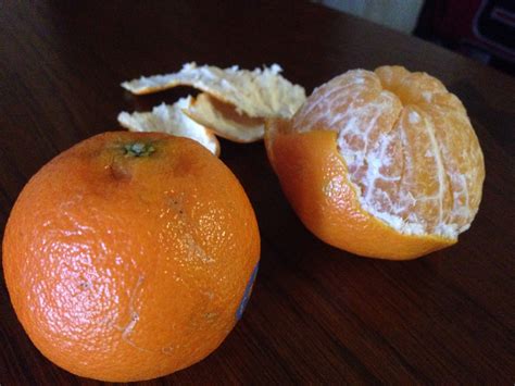 Image result for Tangerine Computer Systems