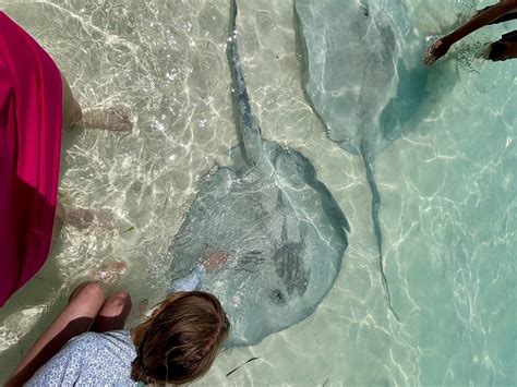 A1 WATER TAXI EXUMA (Updated 2026) All You Need to Know BEFORE You Go ...