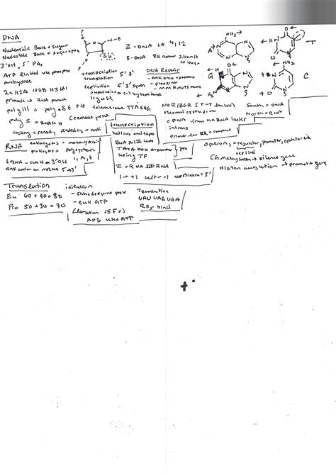 MCAT Hard to Memorize Guide : r/Mcat