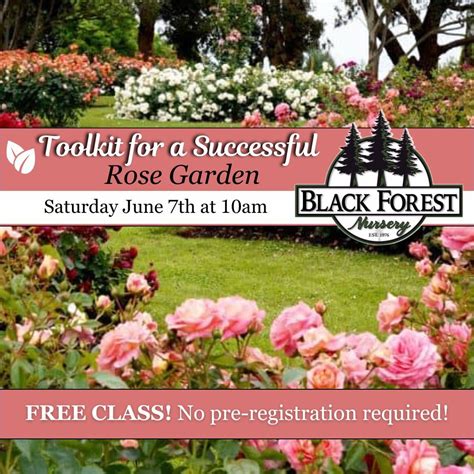 FREE CLASS: Toolkit for a Successful Rose Garden, 209 King Street ...