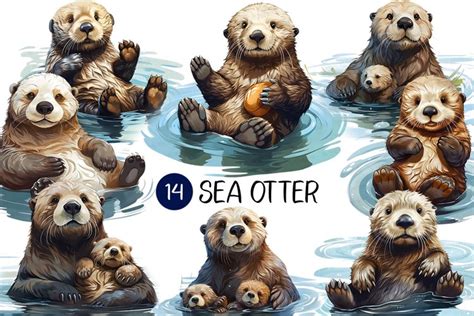 Sea otter PNG | Cute Sea Animal Clip art Under the sea