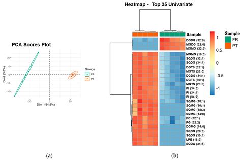 Polar Lipids of Commercial Ulva spp. of Different Origins: Profiling ...