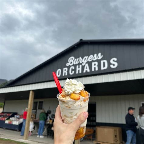 Cherry Hill Farms – Burgess Orchards | Agritourism