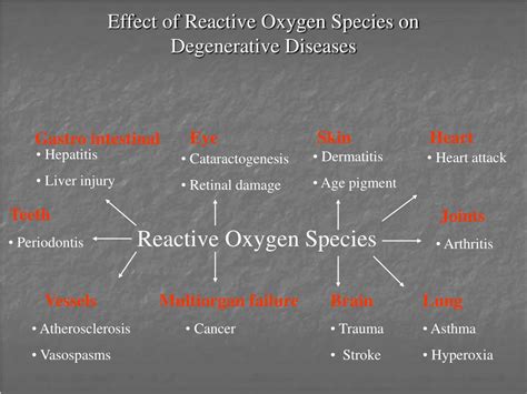 manfaat antioksidan dalam kentang