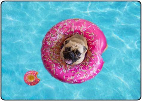 Bestwell Area Rug Cute Pug Floating in Pool Nursery Rug Floor Mat Kids ...