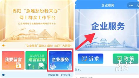 审计税务_服务项目-杭州标领科技有限公司
